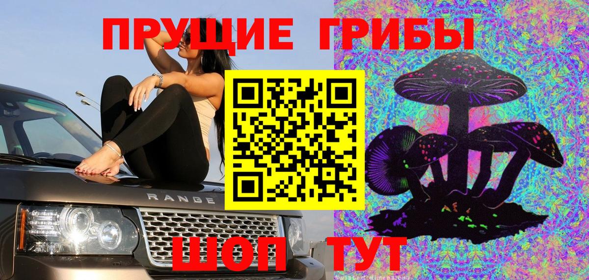 Галлюциногенные грибы прущие грибы  Вход с VPN  Оренбург  Галлюциногенные грибы GOLDEN TEACHER 