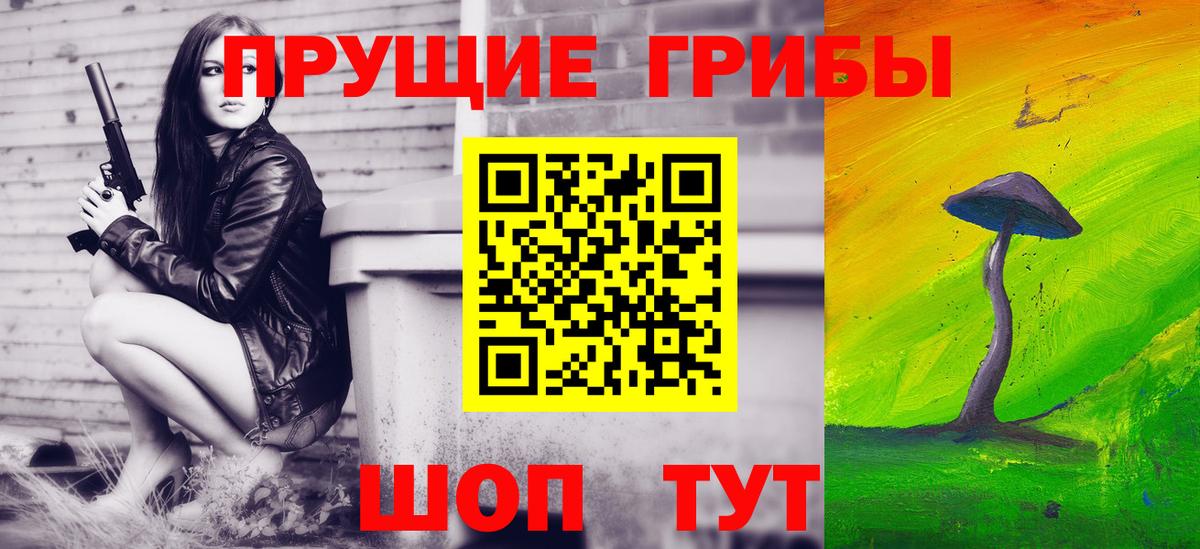 Псилоцибиновые грибы прущие грибы Оренбург